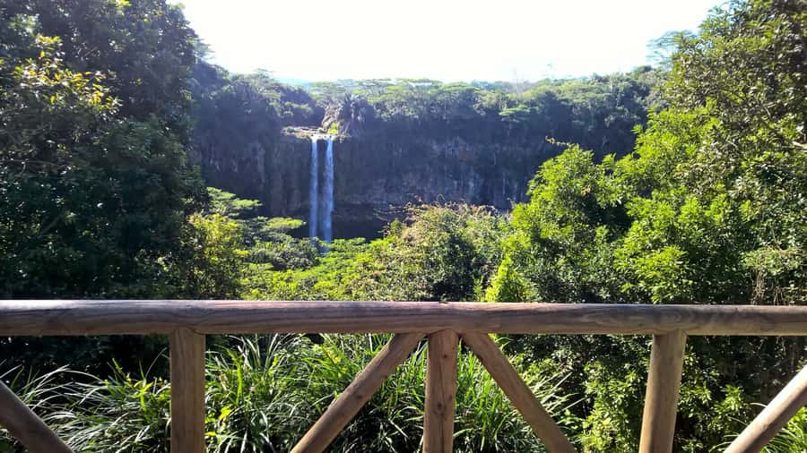 Mauritius: Private South Side and Dolphin Adventure Tour - Swimming with dolphins in the open sea