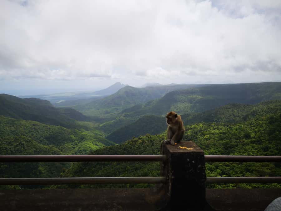 Mauritius: Private South Tour with Pickup - Why this private southern route works well