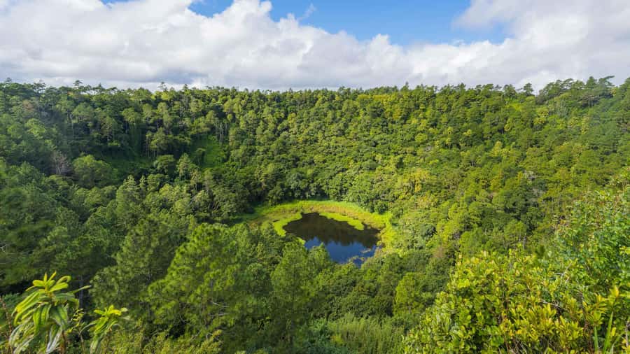 Mauritius: Private South Tour with Pickup - Black River Gorges and Alexandra Waterfall bring the green scenery