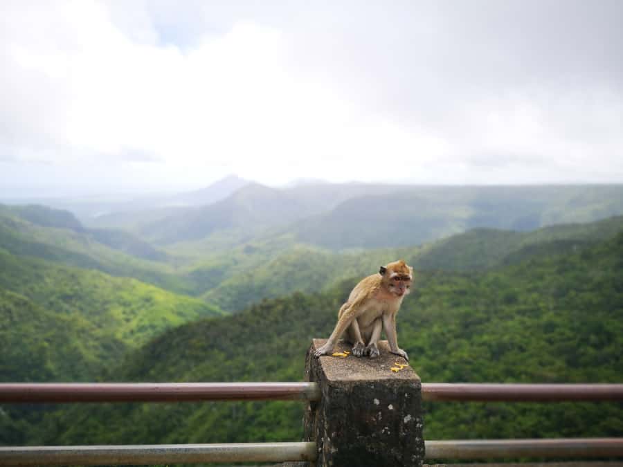 Mauritius: Private South Tour with Pickup - Lunch is flexible, local, and not included
