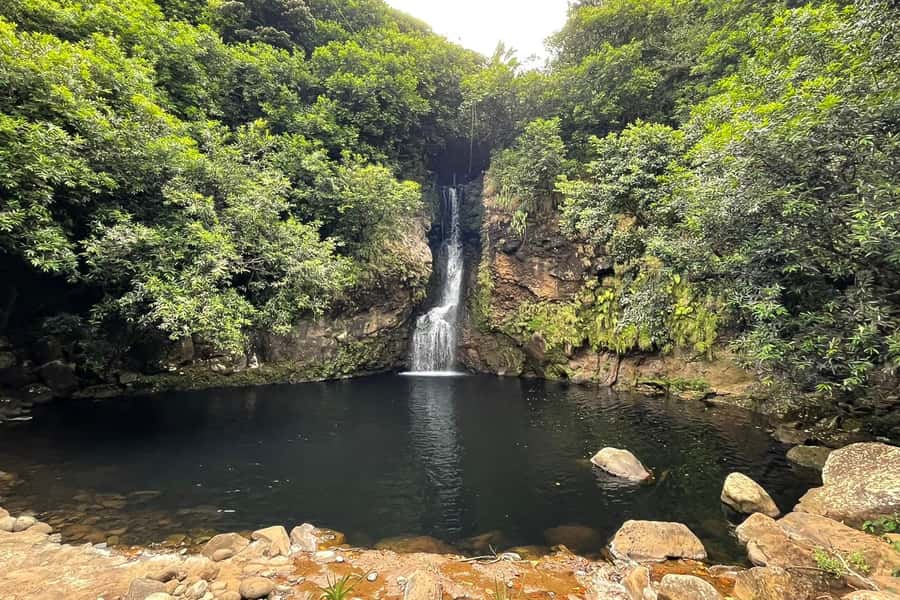 Mauritius: Private South-West Nature & Viewpoints with Lunch - The guide makes or breaks the day