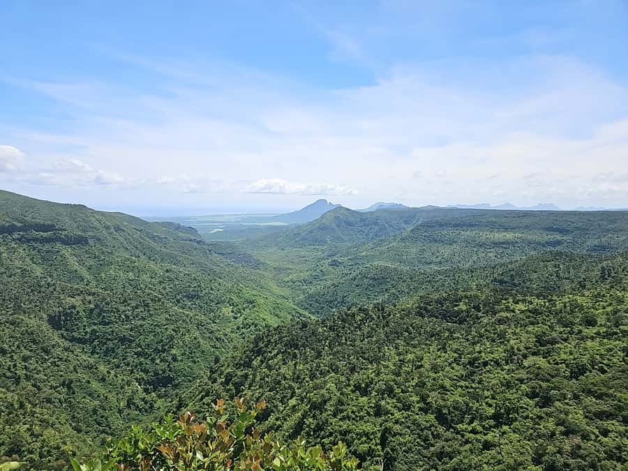 Mauritius: Private Southwest Chamarel Highlights Tour - Mare aux Vacoas adds a quiet highland pause