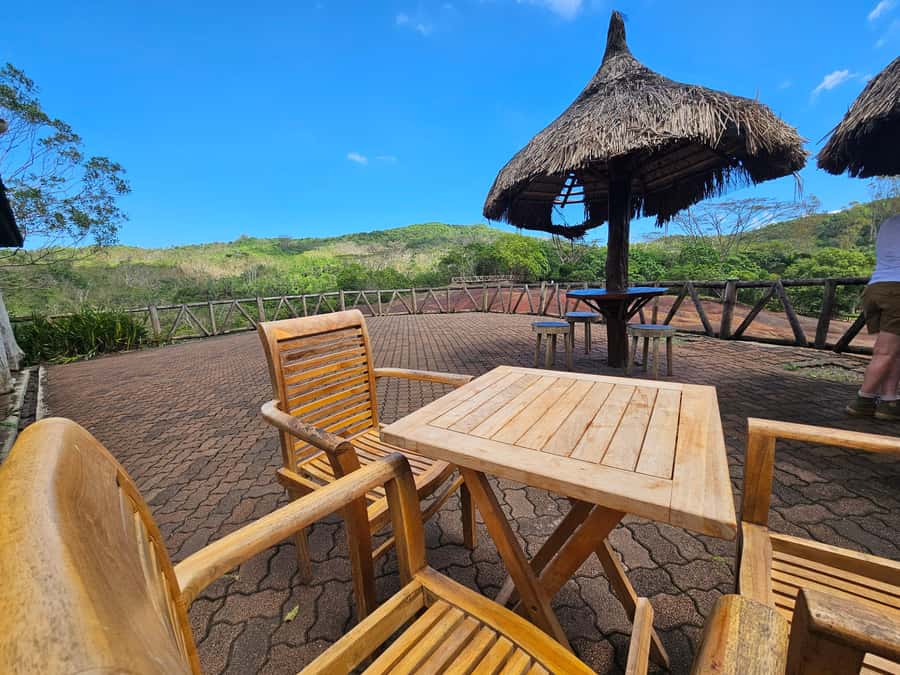 Mauritius: Private Southwest Chamarel Highlights Tour - Black River Gorge offers forest and wildlife