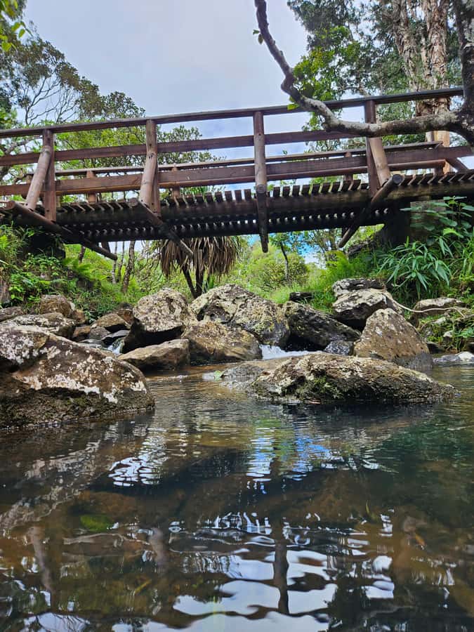Mauritius: Private Southwest Chamarel Highlights Tour - The Chamarel rum stop is optional, not automatic