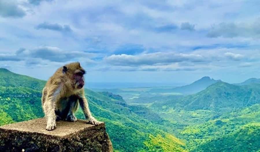 Mauritius: Private Southwest Day Tour - Lunch is local, but it is not included