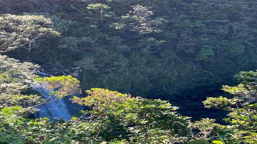 Mauritius: private southwest tour - Key points to know before booking