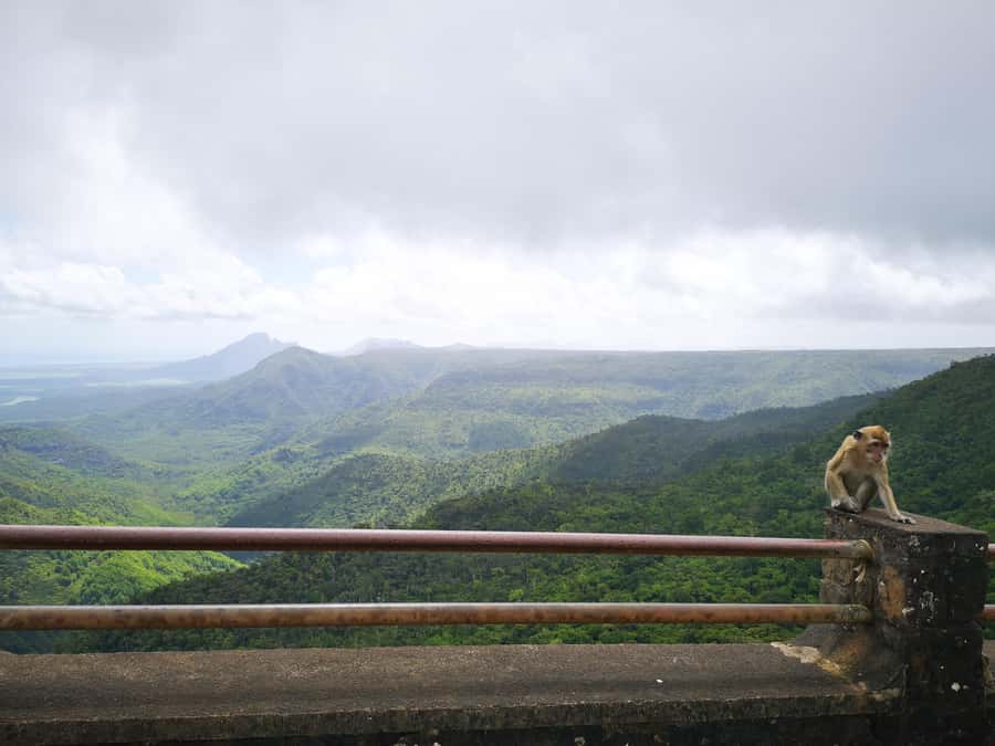 Mauritius: Private Southwest Tour with Pickup - Alexandra Falls is short, scenic, and easy to fit in