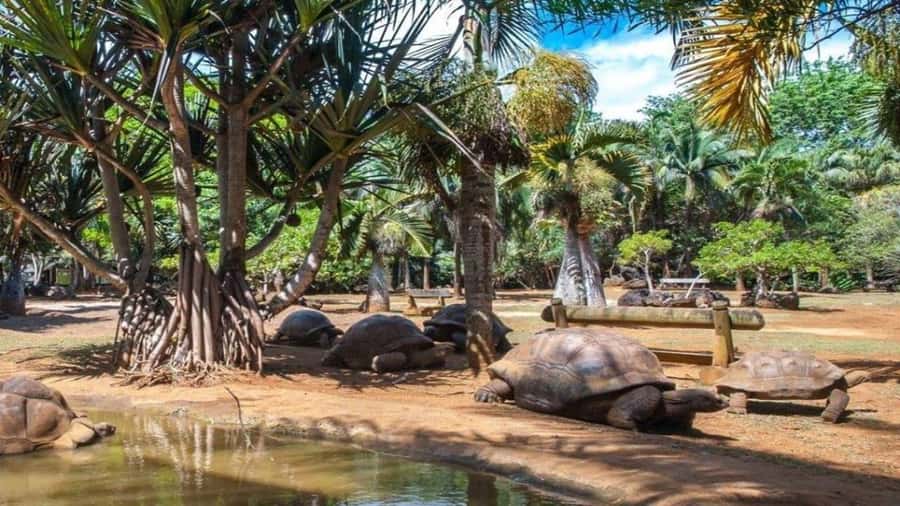 Mauritius : private wild south fullday tour - Why this private south tour works