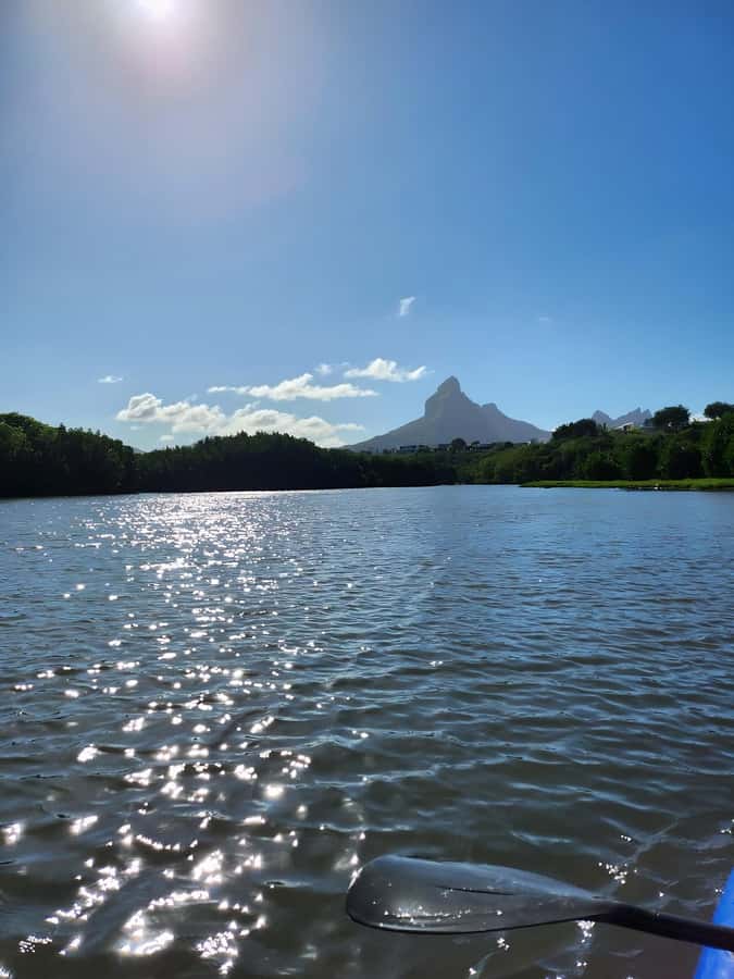 Mauritius: River Guided Kayak Tour with Monkeys - Watching monkeys without chasing them