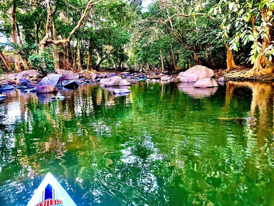 Mauritius: River Guided Kayak Tour with Monkeys - The possible beach swim at the end
