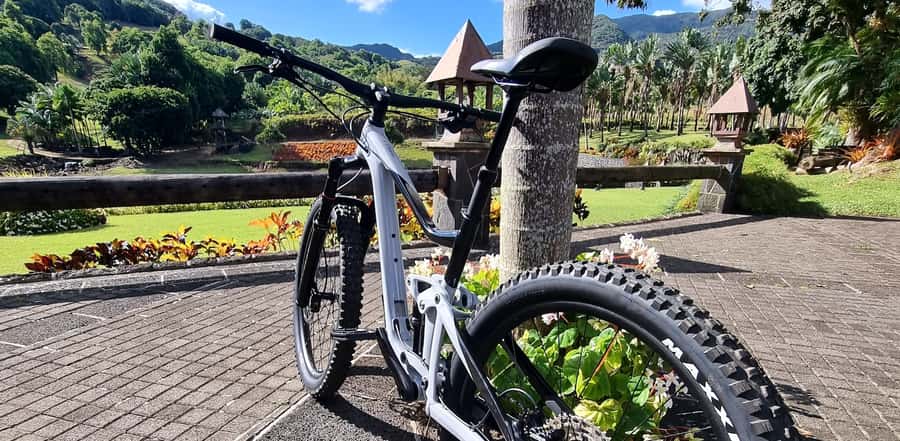 Mauritius: Scenic Bike Trails with Gear & Shuttle - What the three-hour session feels like