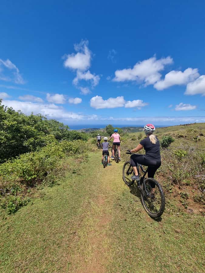Mauritius: Scenic Bike Trails with Gear & Shuttle - What the service is like