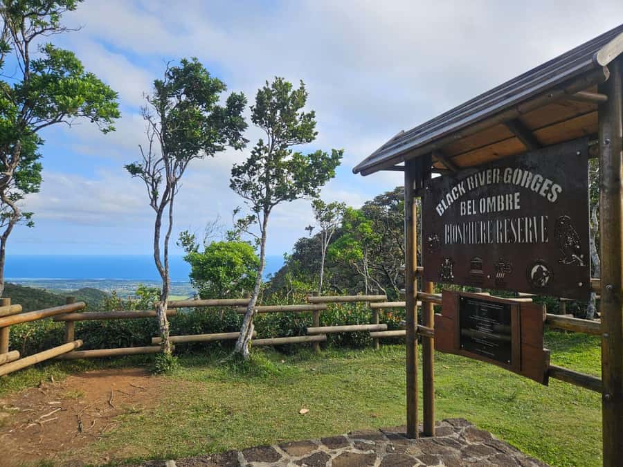 Mauritius: Sights of the South Private Tour with Rum Tasting - Chamarel Rum Distillery: finish with a tasting