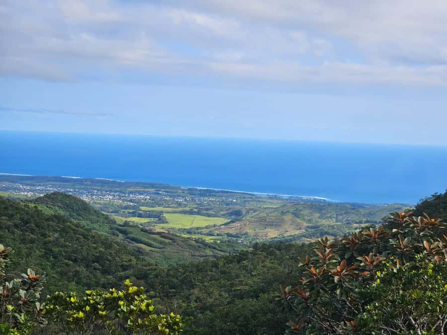 Mauritius: Sights of the South Private Tour with Rum Tasting - Grand Bassin and the Shiva statue
