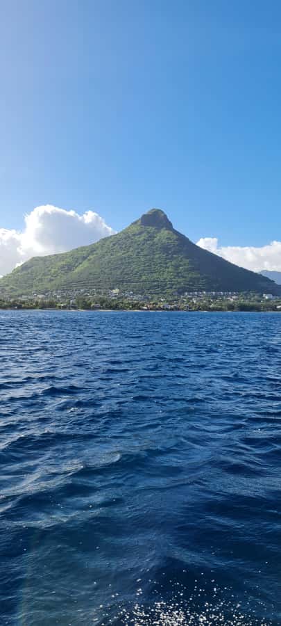 Mauritius: Snorkel and Swim with Dolphins on Speedboat Tour - Snorkeling beyond the main encounter