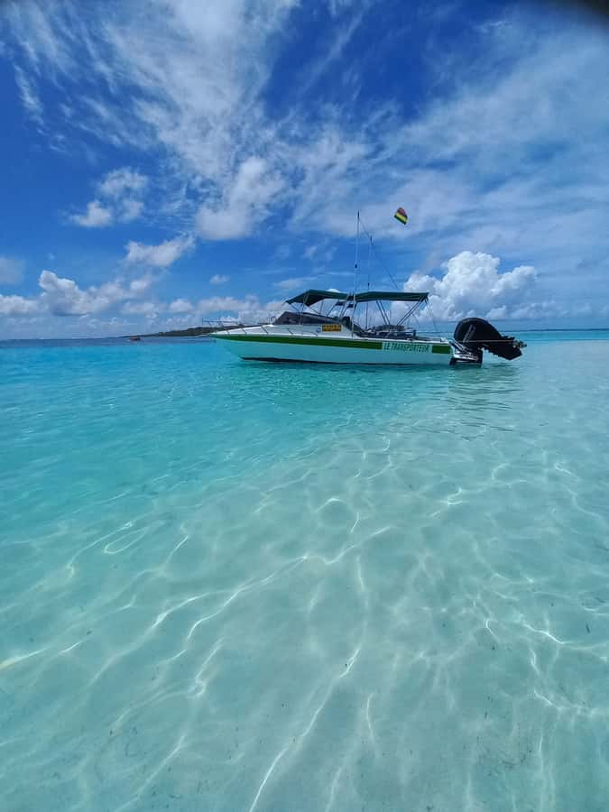 Mauritius: Snorkeling with turtles Le Transporteur speedboat - What makes Trou aux Biches special