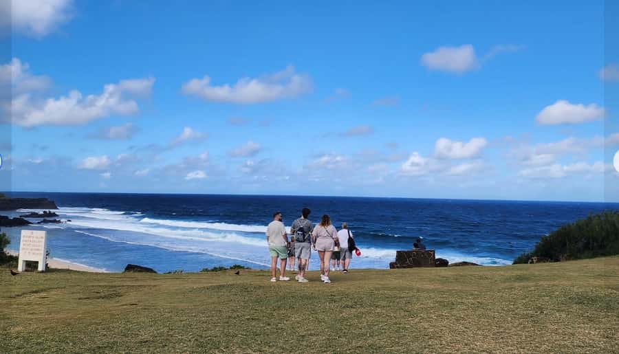 Mauritius: South Coast Tour with Tea Factory & Gris Gris - Why this southern route is worth your day