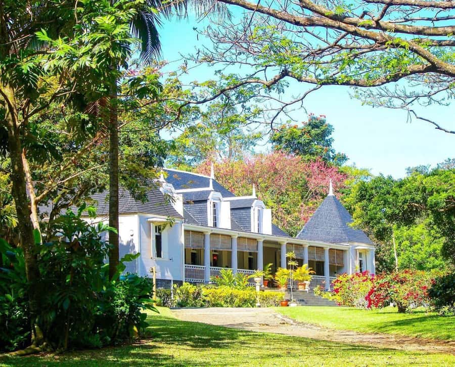 Mauritius: South of the Island Private Full-Day Tour - Bois Chéri puts tea in its setting