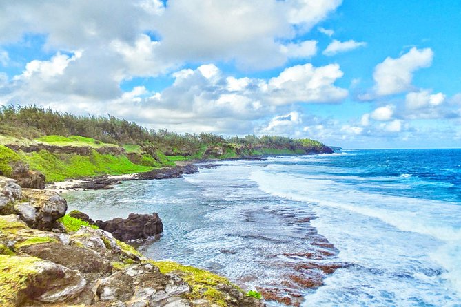 Mauritius South Tour Including Blue Bay Glass Bottom Boat & Snorkelling - La Vanille Nature Park is best for animal lovers