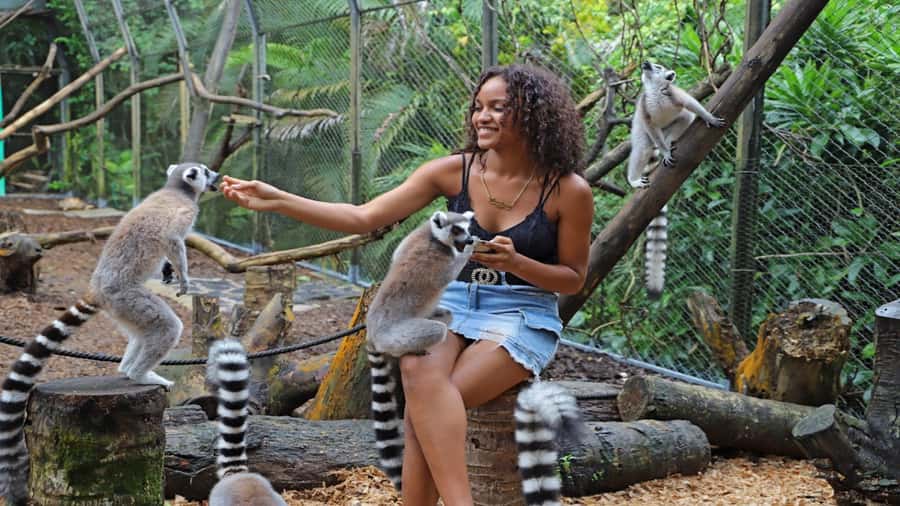 Mauritius: Southern Tour Incl. Adventure Park & Le Morne - Hotel Pickup and the Long Southern Loop