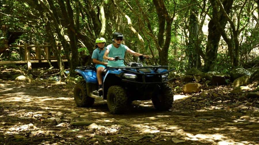 Mauritius: Southern Tour Incl. Adventure Park & Le Morne - Rivier des Galets, Bel Ombre, and the Southern Coast