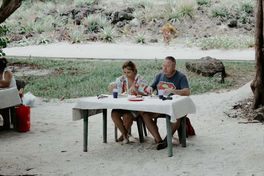 Mauritius: Speedboat Tour to Ile aux Cerfs with Lunch - Key points to know before you go