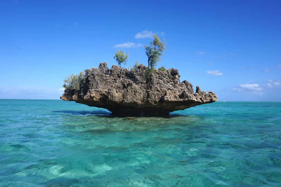 Mauritius: Swim with Dolphins Full-Day with Lunch/Drinks - What the $96 price really buys you