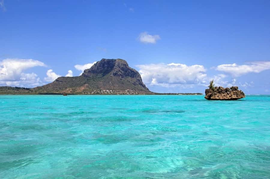 Mauritius: Swim with Dolphins Full-Day with Lunch/Drinks - Returning to La Preneuse at 2:30