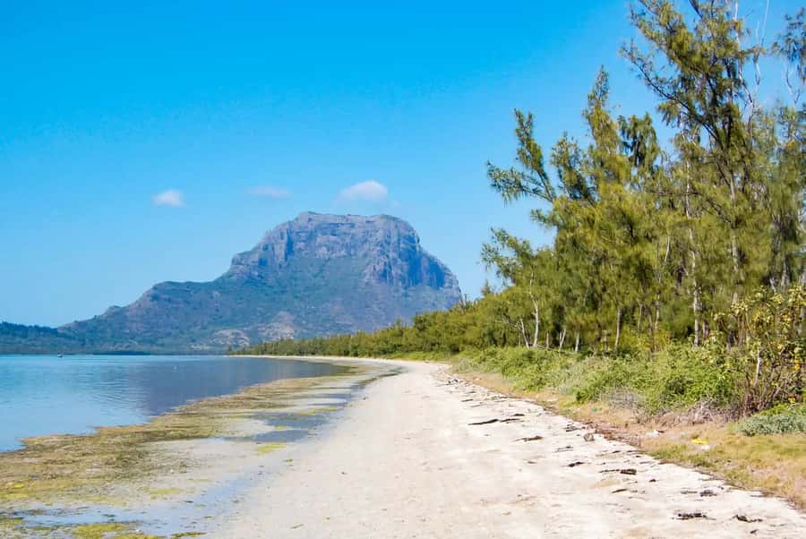 Mauritius: Swim with Dolphins Full-Day with Lunch/Drinks - The main downside: shared boats and a rushed swim