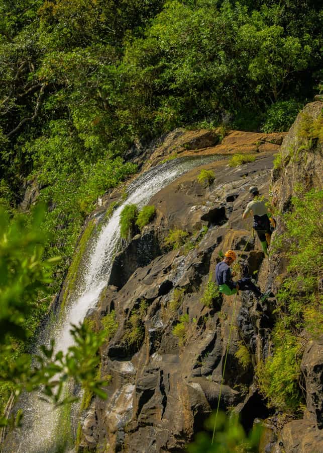 Mauritius: Tamarind Falls Canyoning Adventure - The natural zipline and optional jump