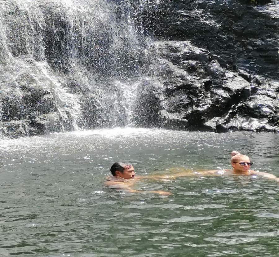 Mauritius: Tamarind Falls Guided Hike with Swim and Lunch - The first 40 minutes: entering the forest