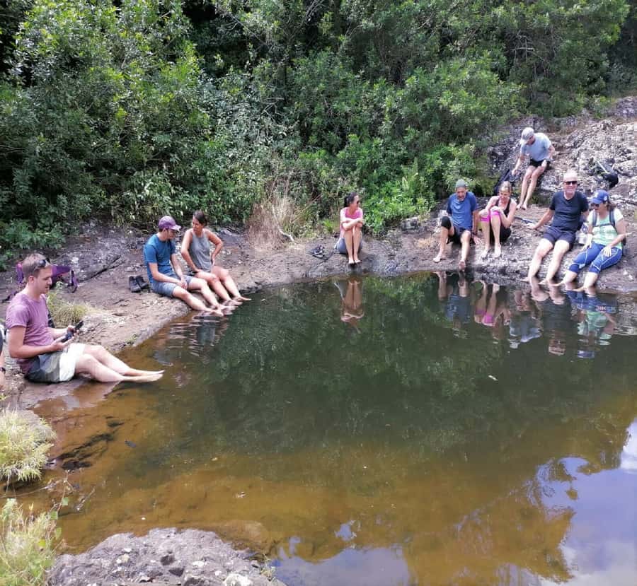Mauritius: Tamarind Falls Guided Hike with Swim and Lunch - The climb to the seventh waterfall
