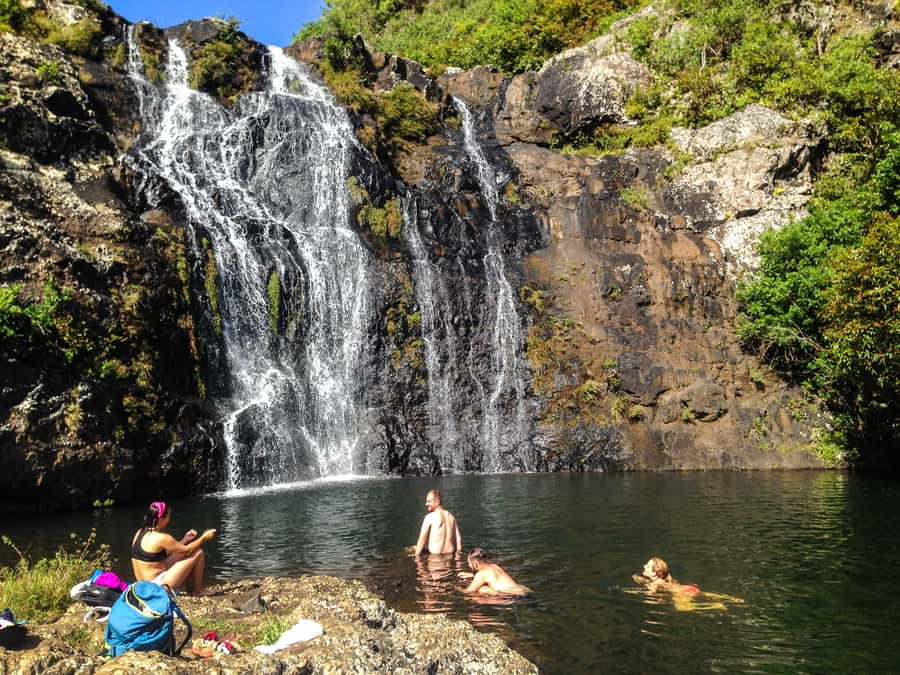 Mauritius: Tamarind Falls Highlights 3-Hour Hiking Trip - How hard is the three-hour hike?