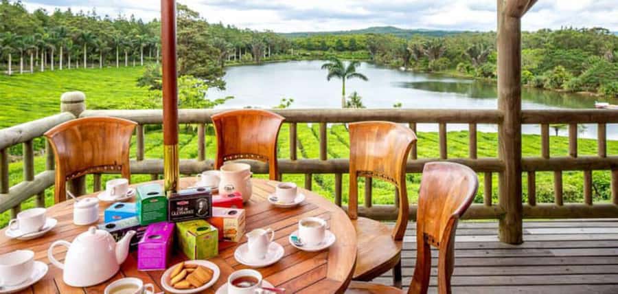 Mauritius: Tea and Sugar Plantation Guided Tour with Lunch - Why this plantation tour is worth your day