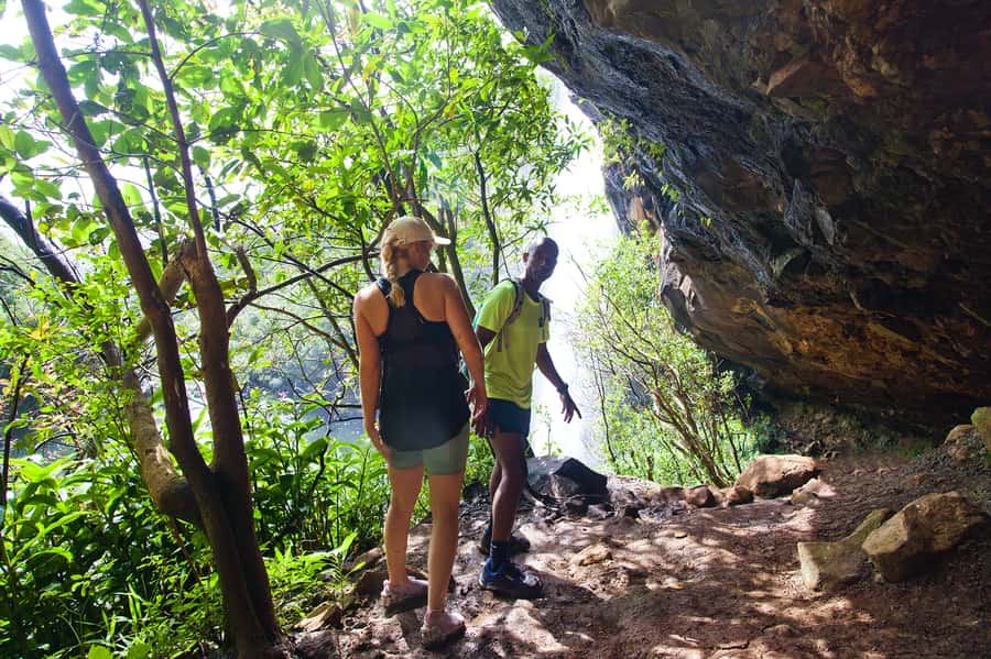 Mauritius: The Iconic Waterfalls hike + Mauritian picnic - Four waterfalls and a real jungle trail