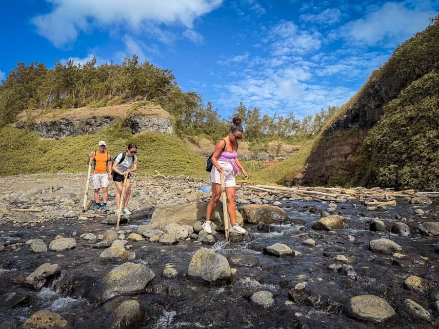 Mauritius: The Wild South Hiking Tour with a Guide - Safety, fitness, and who should book