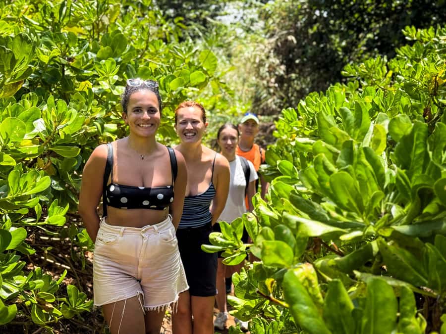 Mauritius: The Wild South Hiking Tour with a Guide - La Roche Qui Pleure and the weeping basalt cliffs