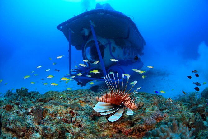 Mauritius Unique Submarine Tour - Forty-Five Minutes Underwater