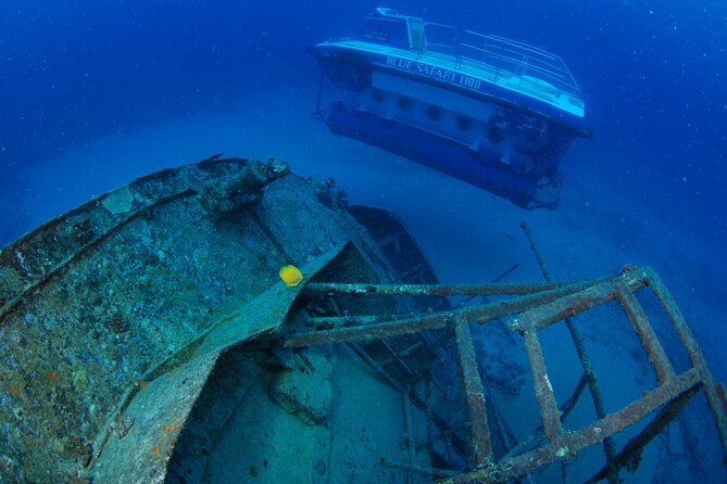 Mauritius Unique Submarine Tour - Who Will Enjoy This Most