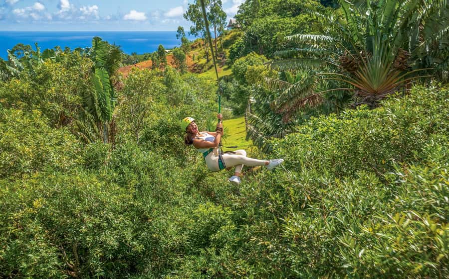 Mauritius: Vallé Advenature Park - Adventure Tour Zipline - Six useful things to know before you go