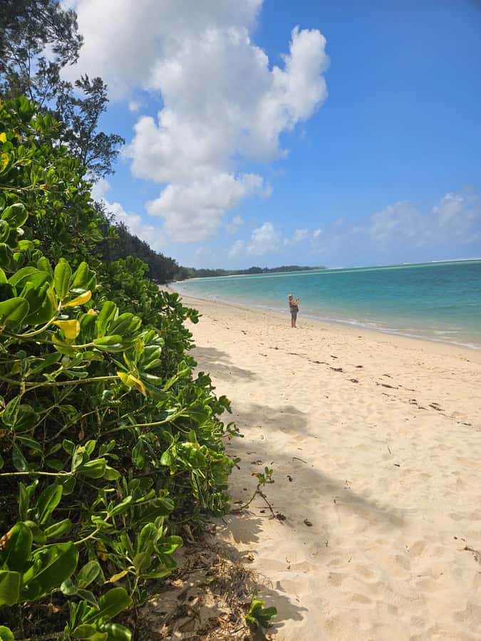 Mauritius: Vanilla Park & Beaches Tour with Extra Option - Guides make or break the day