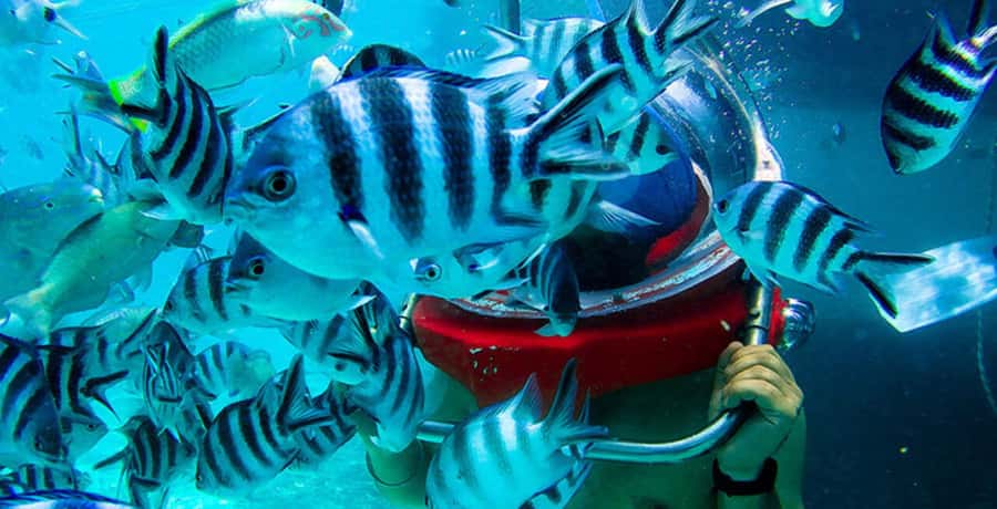 Mauritius: Watersport Adventure Day with Lunch and Pickup - Staff instructions matter more than athletic skill