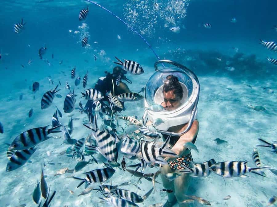 Mauritius: Watersport Adventure Day with Lunch and Pickup - Parasailing changes the pace