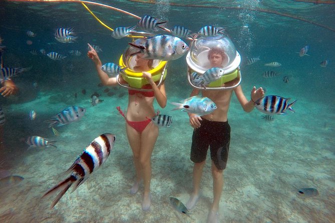 Mesmerizing Ile aux Cerf: Speed Boat, GRSE, Lunch & Undersea walk (Full Day) - An early start from Trou d’Eau Douce