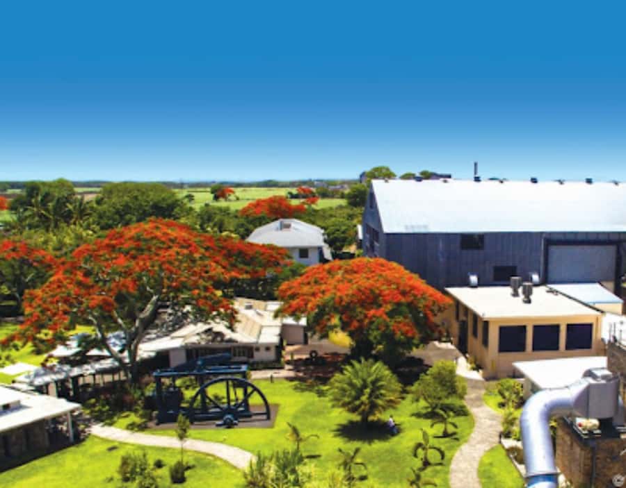 North Day Tour, Botanical Garden, Sugar Museum, Rum Tasting - Key points to know before you book