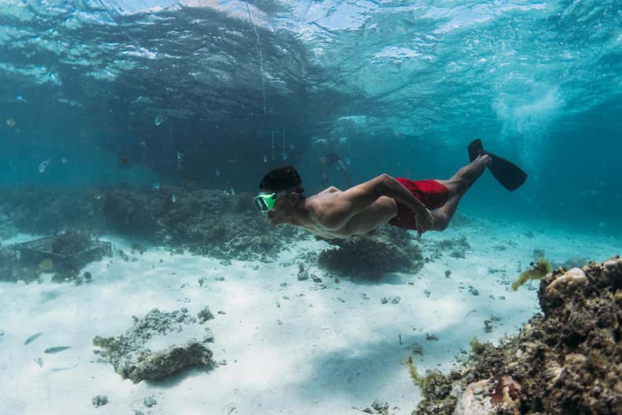 North East of Mauritius: Catamaran Cruise w/ BBQ Lunch - Is $80 a fair price?