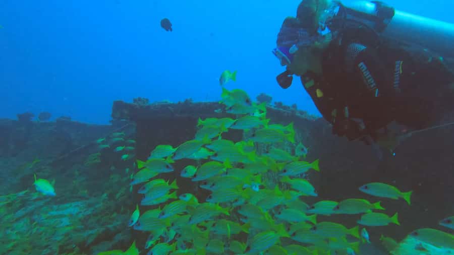 North of Mauritius: Scuba Diving Tour - What makes the experience memorable
