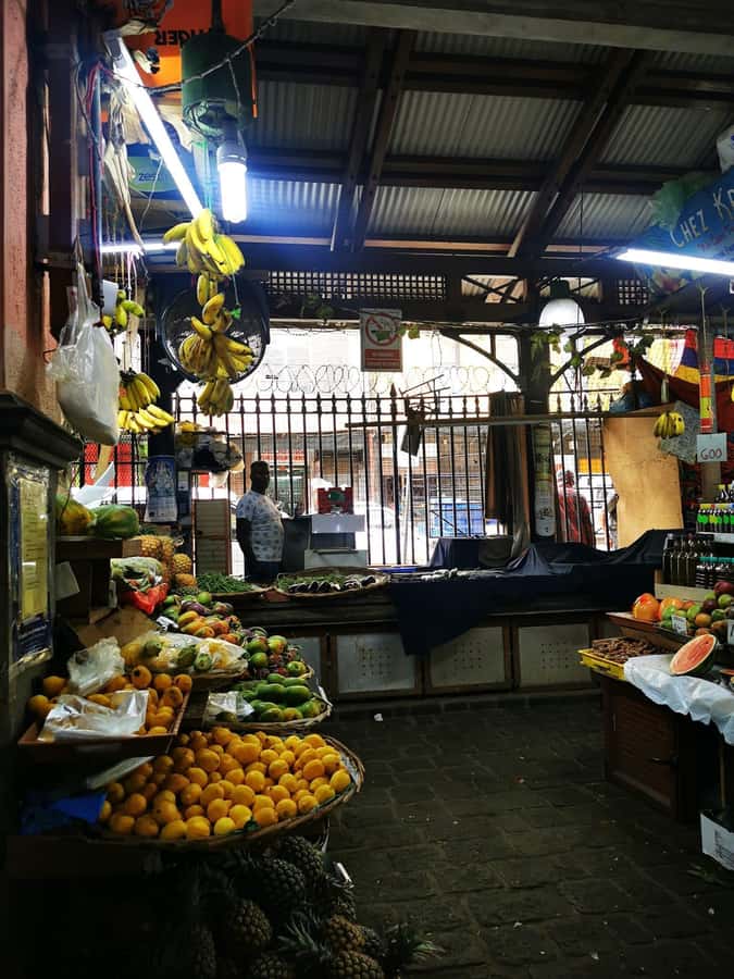 North Tour Of Mauritius With Street Food tasting - What the private car changes