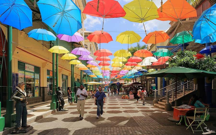 North Tour: Port Louis, Caudan, Citadelle, Botanical Garden - What This Eight-Hour Day Is Really Like