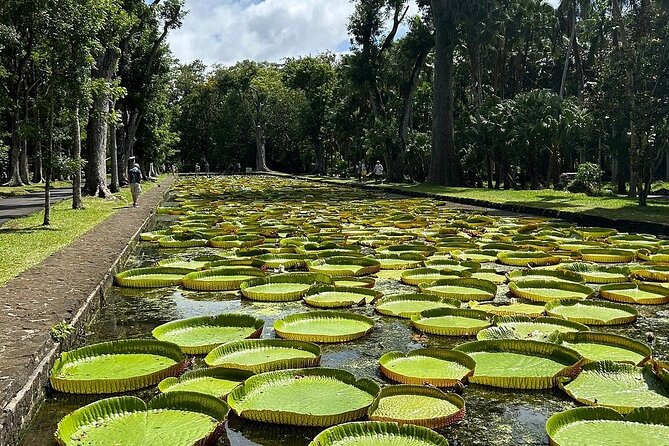 Northern Mauritius Private Tour w/ Port louis Market and Beaches - Fort Adelaide and the first look at Port Louis